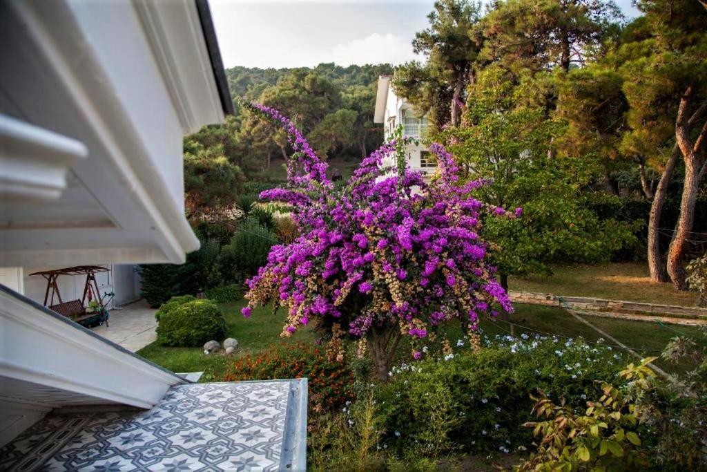 Triada Hotel Bueyuekada Adalar Ngoại thất bức ảnh
